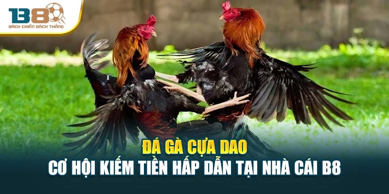 Đá Gà Cựa Dao - Cơ Hội Kiếm Tiền Hấp Dẫn Tại Nhà Cái B8