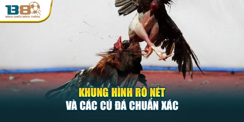 Khung hình rõ nét và các cú đá chuẩn xác