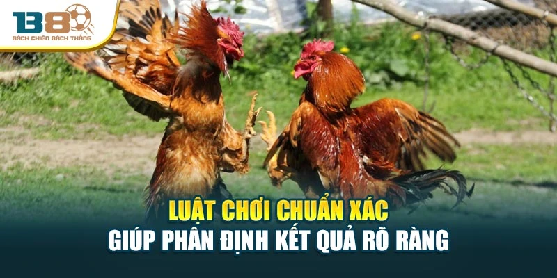 Luật chơi chuẩn xác giúp phân định kết quả rõ ràng