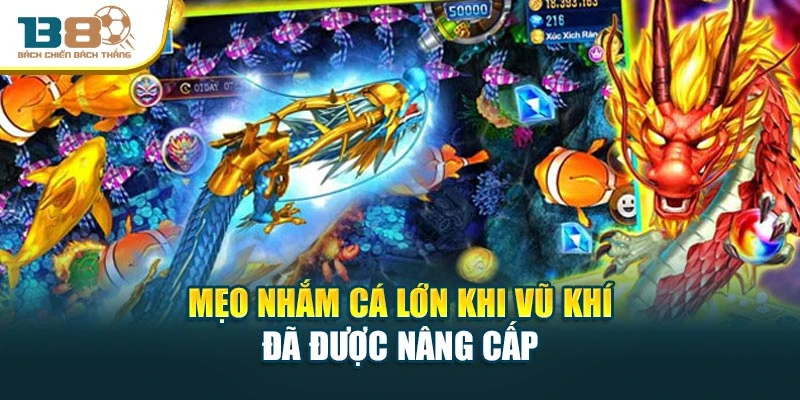 Mẹo nhắm cá lớn khi vũ khí đã được nâng cấp
