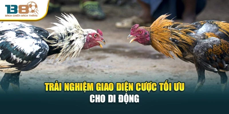 Trải nghiệm giao diện cược tối ưu cho di động